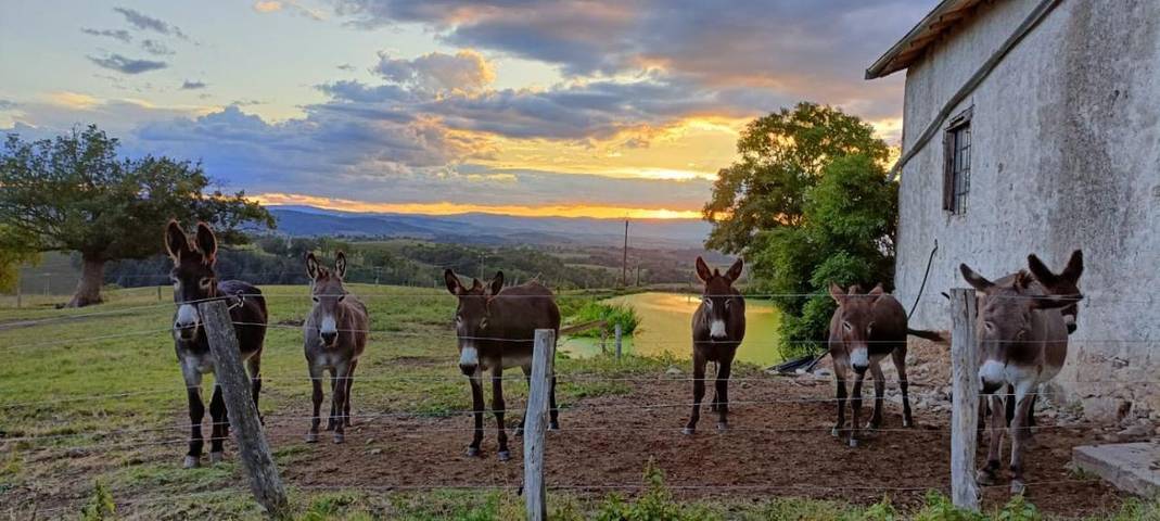 Location de vacances pour 9 personnes, avec vue et jardin ainsi que sauna et terrasse, animaux acceptés dans Lay - 3