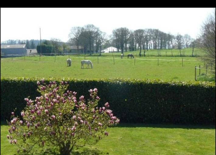 Gîte pour 4 personnes, avec jardin et vue, animaux acceptés à Plaintel - 2