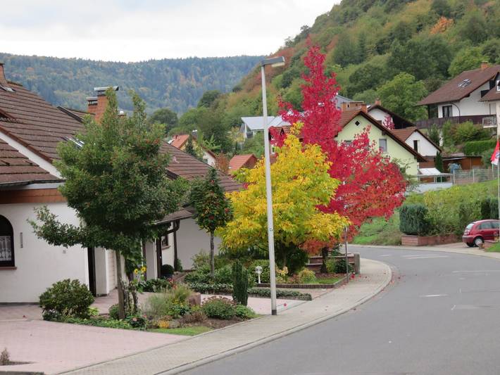 Ganze Wohnung, Ferienwohnungen Haus Albert - Appartement mit Freisitz unter den Weinranken in Großheubach, Fränkisches Weinland