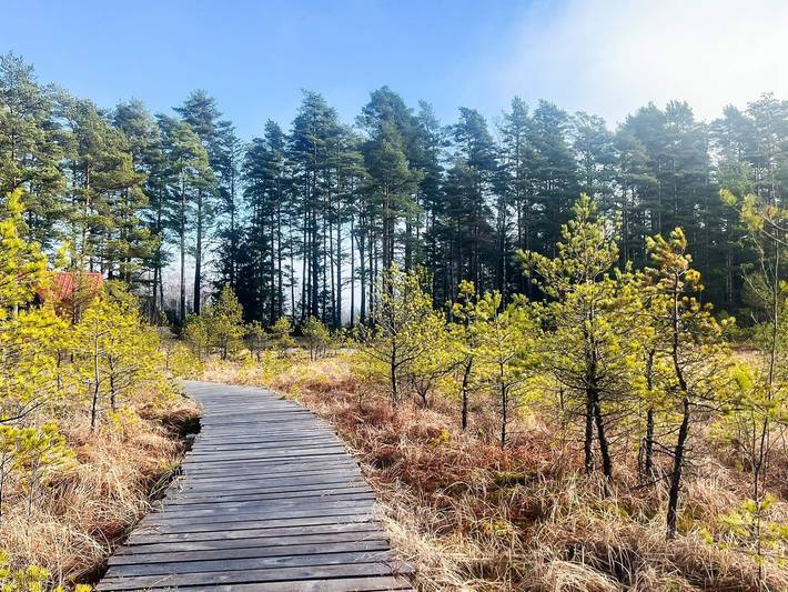 Ferienhaus für 7 Personen, mit Haustier in Schweden - 3
