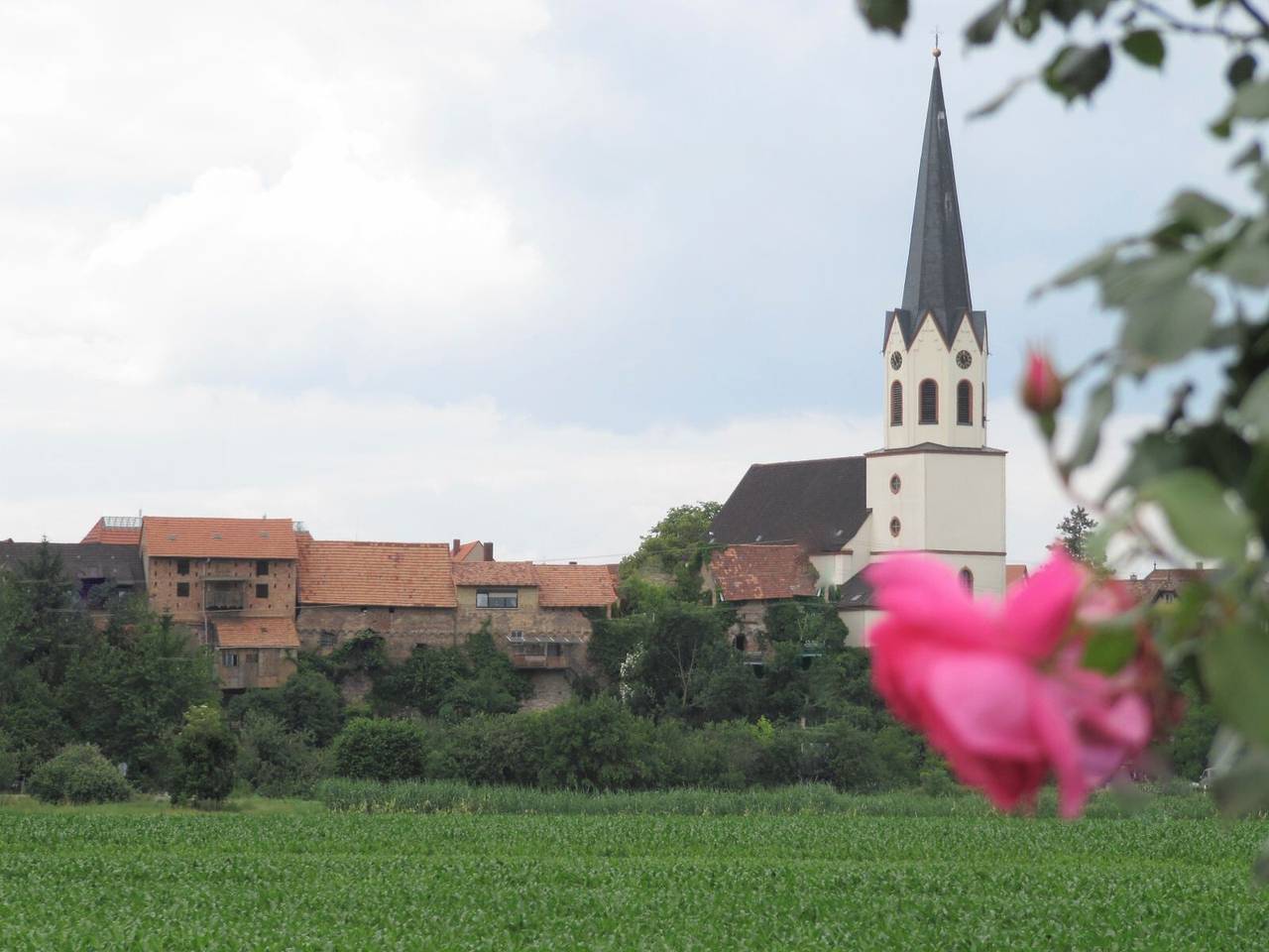 Gästehaus 'Jockgrim' mit Wi-Fi in Jockgrim, Rheinebene