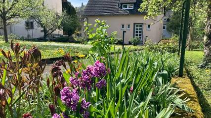 Ferienwohnung für 4 Personen in Kirn, Landkreis Bad Kreuznach, Bild 1