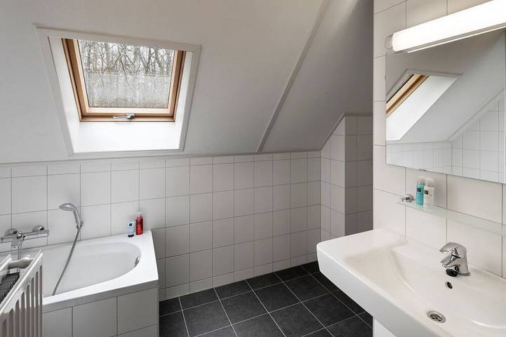 Geräumige und stilvolle Villa in Ruinen, Nationalpark Dwingelderveld