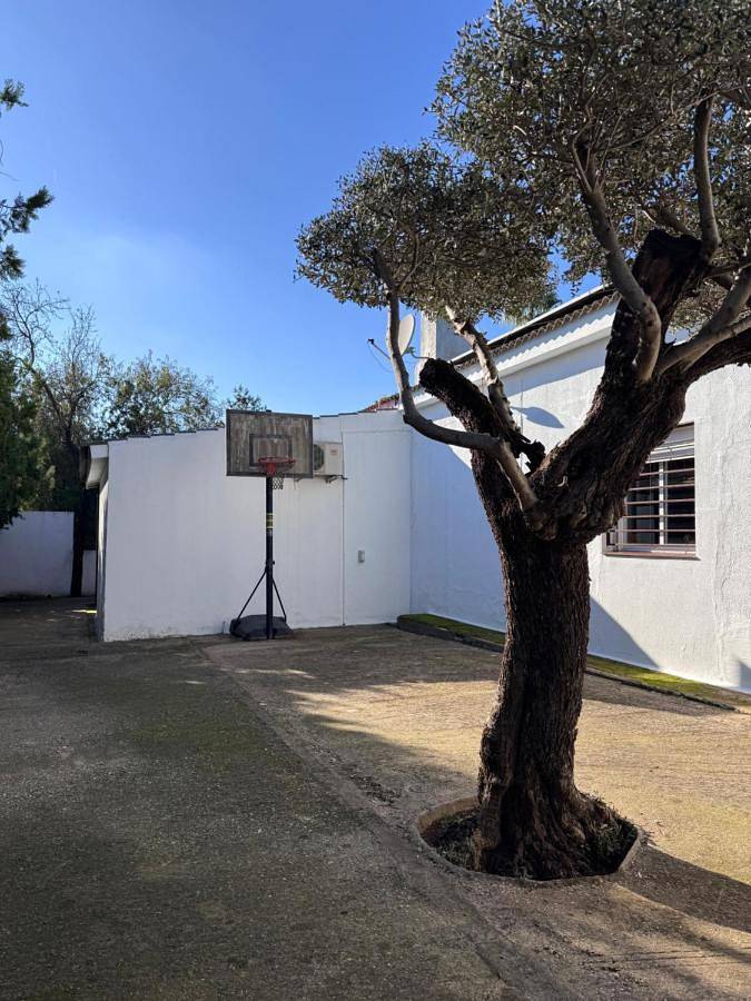 Casa rural para 6 personas, con Jacuzzi además de Terraza y Piscina en Utrera - 4