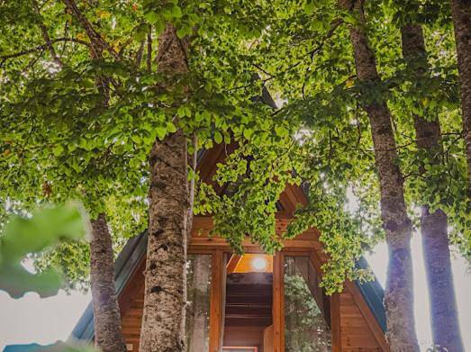 Bungalow für 4 Personen, mit Terrasse und Ausblick sowie Garten in Montenegro - 4