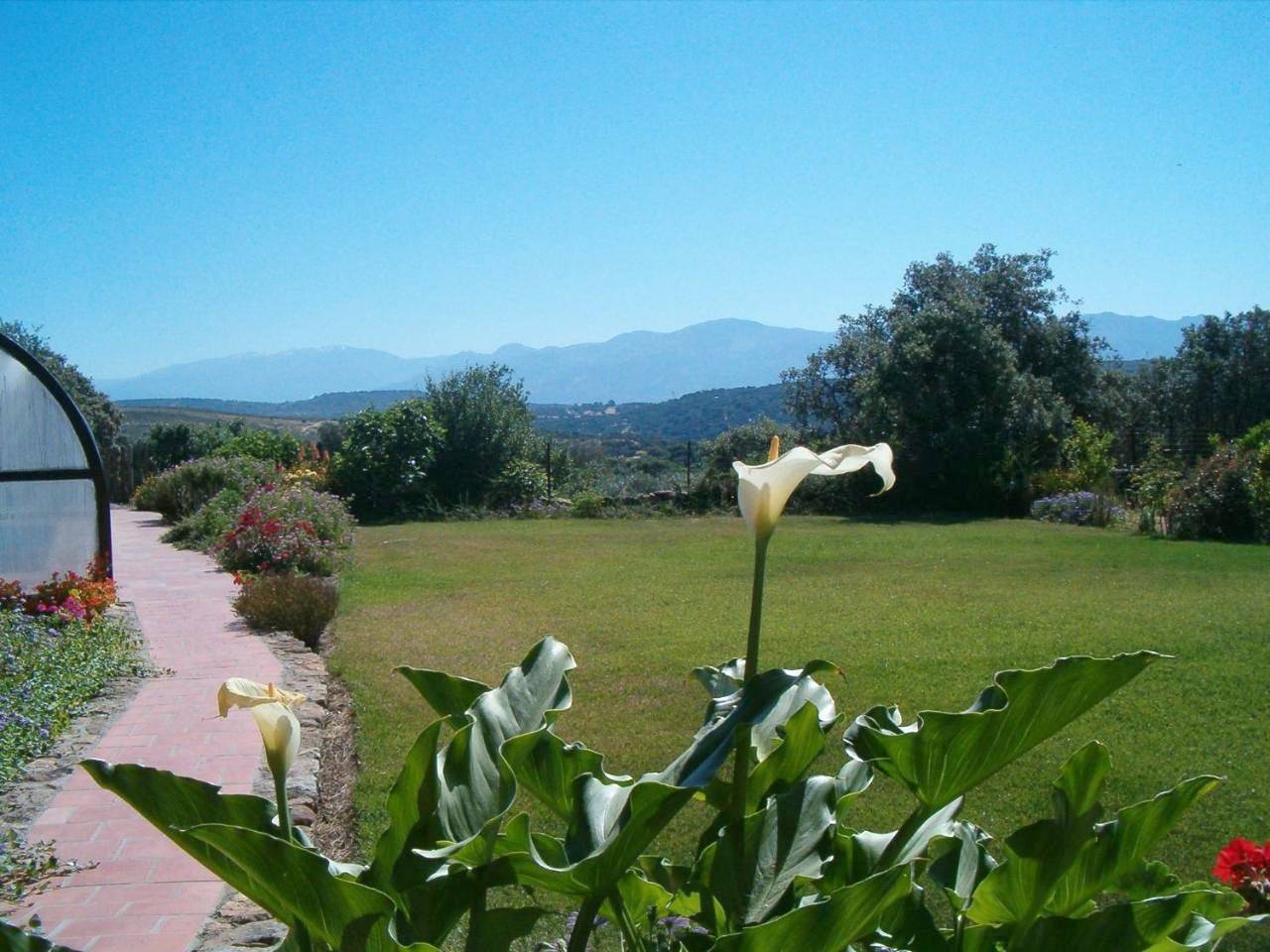 Geheel appartement, Apartamentos El Jardín del Poeta in Guijo de Granadilla, Cáceres en omgeving
