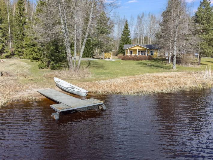 Keltavuokko in Majoosselkä, Ikaalinen