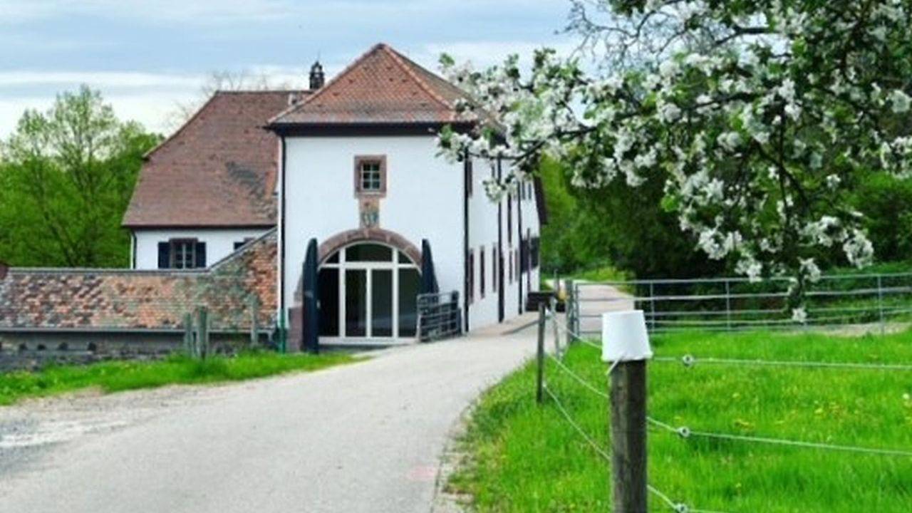 Appartamento intero, Ferienwohnung für 4 Personen (80 m²) in Mittelberg in Marxzell, Nordschwarzwald