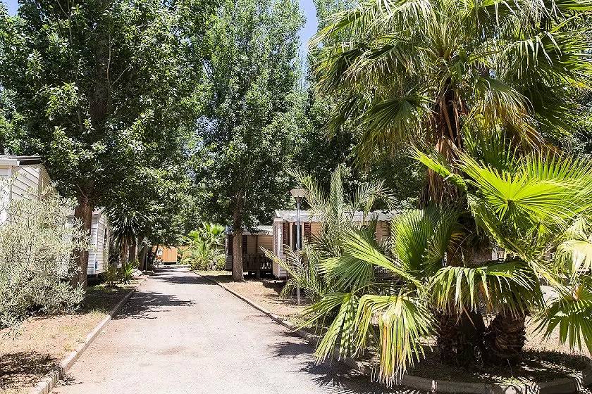 Mobile home Playa Tv Clim - 2 bedrooms - 4/6 people in Sérignan, Côte d'Améthyste