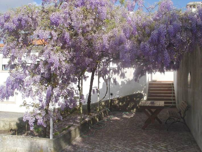 Location de vacances pour 4 personnes, avec piscine ainsi que vue et jardin, animaux acceptés à Leiria - 3