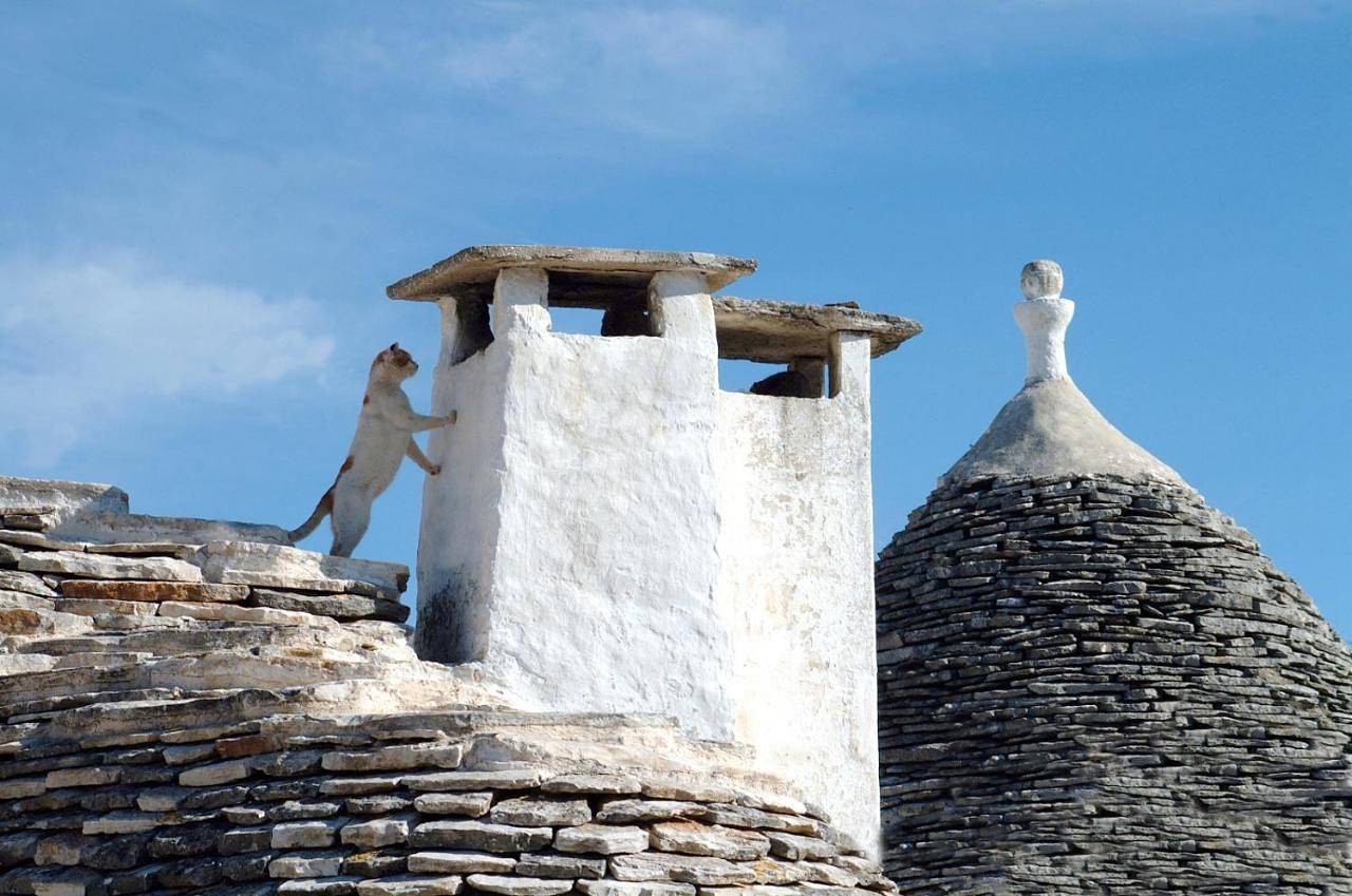Deluxe Room in Alberobello, Comune di Alberobello