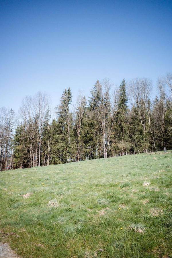 Ferienwohnung für 12 Personen, mit Garten und Ausblick sowie Terrasse in Wieskirche - 4