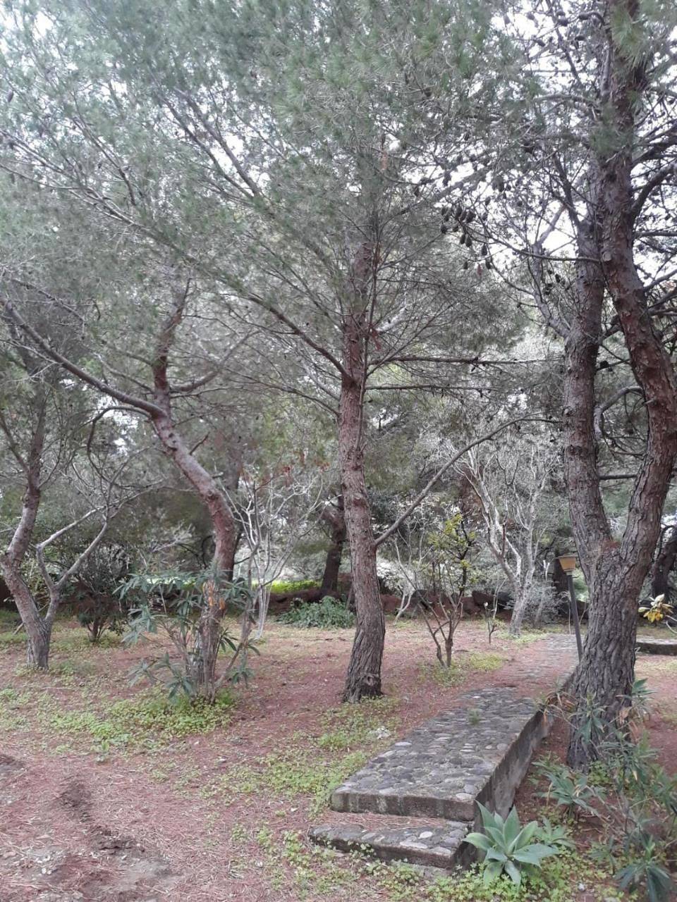 Casa Nicoletta in Ustica, Provincia di Palermo