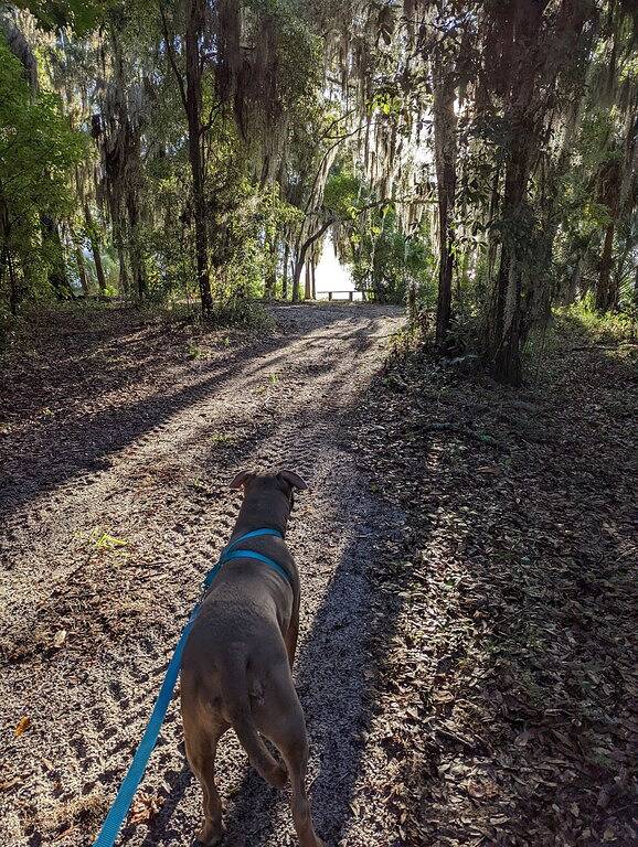 Camp My Way Ocala National Forest Rodman Reservoir Fish/Hunt/Ride/Hike Private in Marion County (FL)