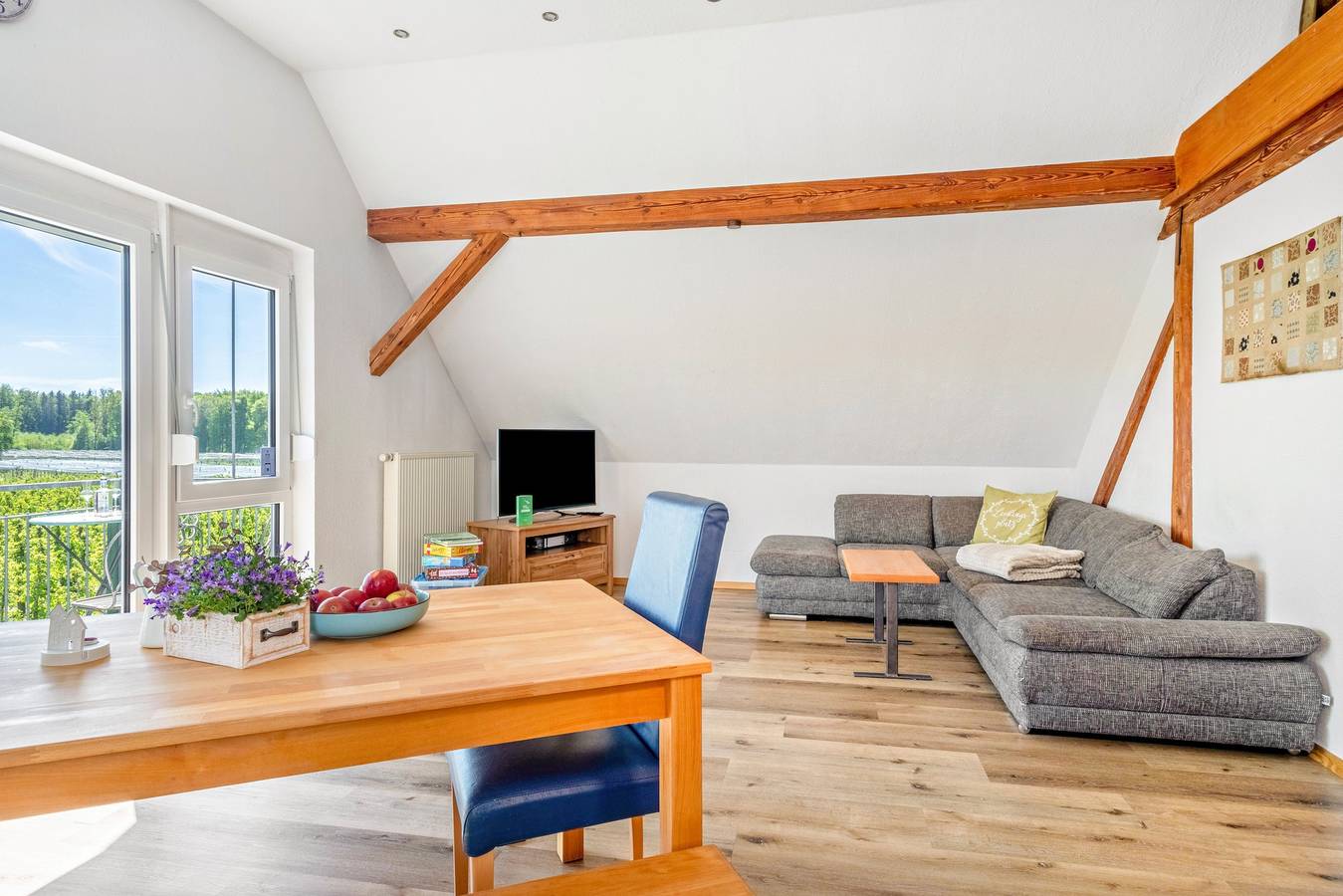 Ganze Wohnung, Apartment 'Säntisblick' mit Bergblick und Wlan in Ravensburger Spieleland, Meckenbeuren