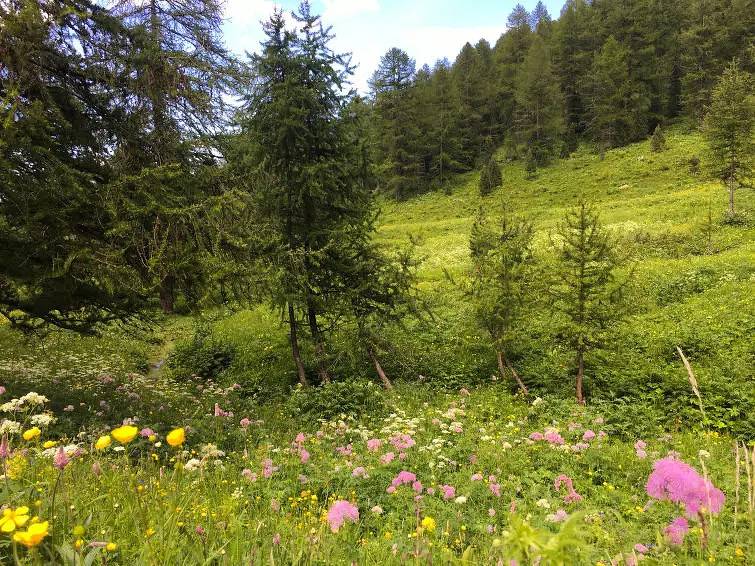 Huis 9 mensen in Sampeyre, Provincie Cuneo