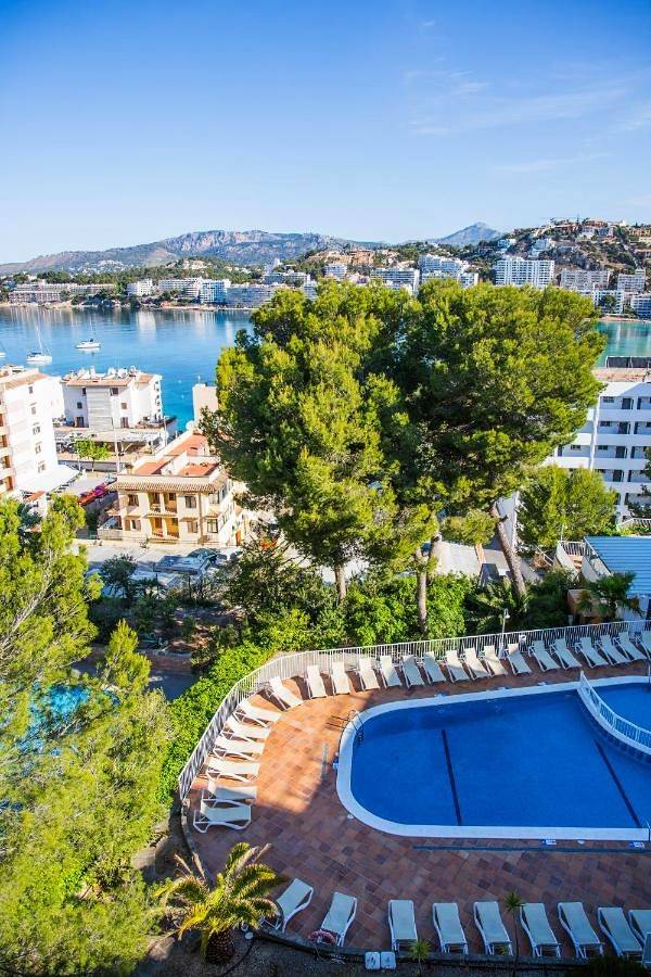 Hôtel pour 6 personnes, avec bassin pour enfant ainsi que piscine et terrasse, animaux acceptés à Santa Ponsa - 2