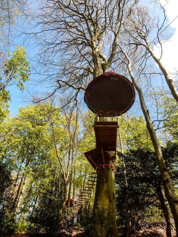Camping pour 2 personnes, avec terrasse ainsi que vue et jardin dans Haute-Normandie - 3