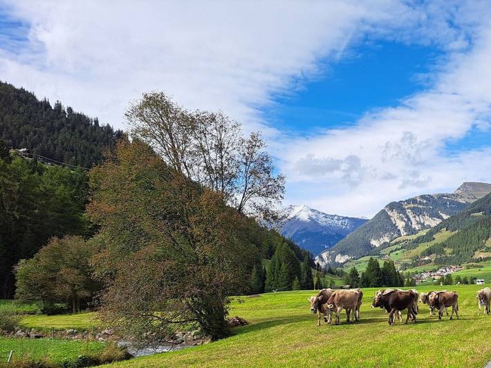 Bauernhof für 5 Personen, mit Terrasse und Garten in Nauders