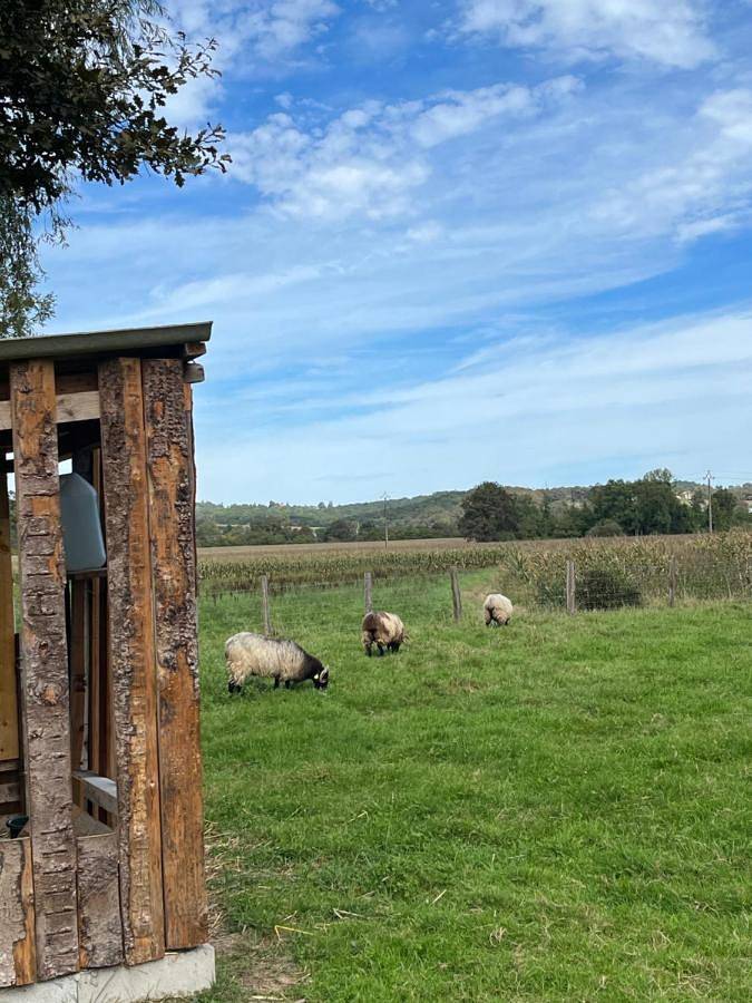 Maison de vacances pour 4 personnes, avec vue ainsi que terrasse et jardin