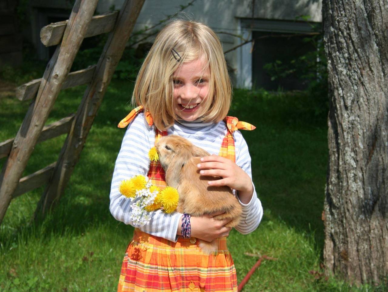 Strohpension oder Ferienwohnung Gerberhaus - Ferienhaus (Gerberhaus gesamt) für 5-7 Personen in Manderscheid, Bernkastel-Kues & Umgebung