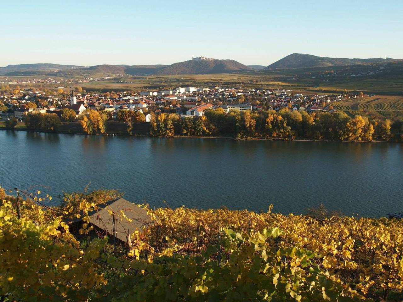 Haus Fries - Haus Fries 100.1 in Bergern im Dunkelsteinerwald, Bezirk Krems an der Donau-Land