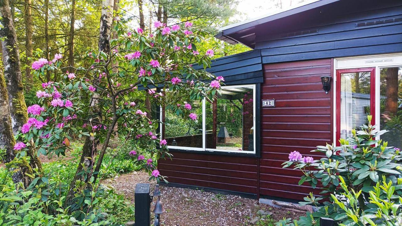 Bosbungalow de Eekhoorn in Nunspeet, Veluwe