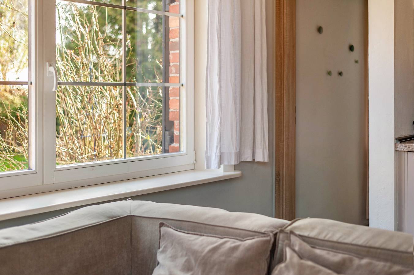 Ganze Wohnung, „Ferienwohnung Fünf" auf Hof Himmelgrün mit großem Garten in Saal, Vorpommern-Rügen