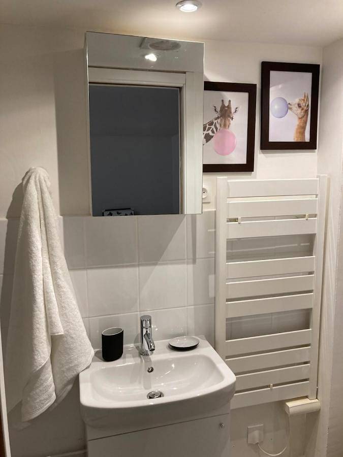 Gîte pour 2 personnes, avec terrasse à Bonny-sur-Loire - 3