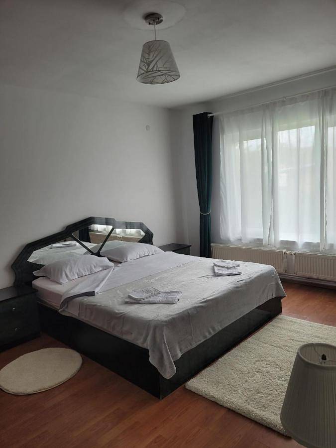 Location de vacances pour 10 personnes, avec jardin et vue dans Câmpina - 3