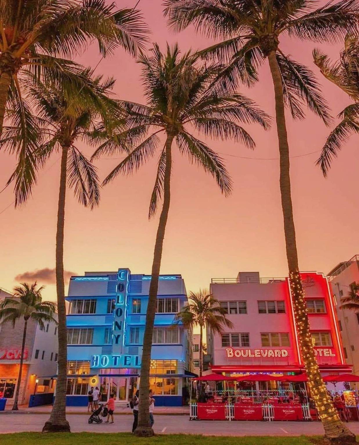 Entire apartment, Quiet Miami Oasis   Fast Wi-Fi   Free Parking in Miami, Florida