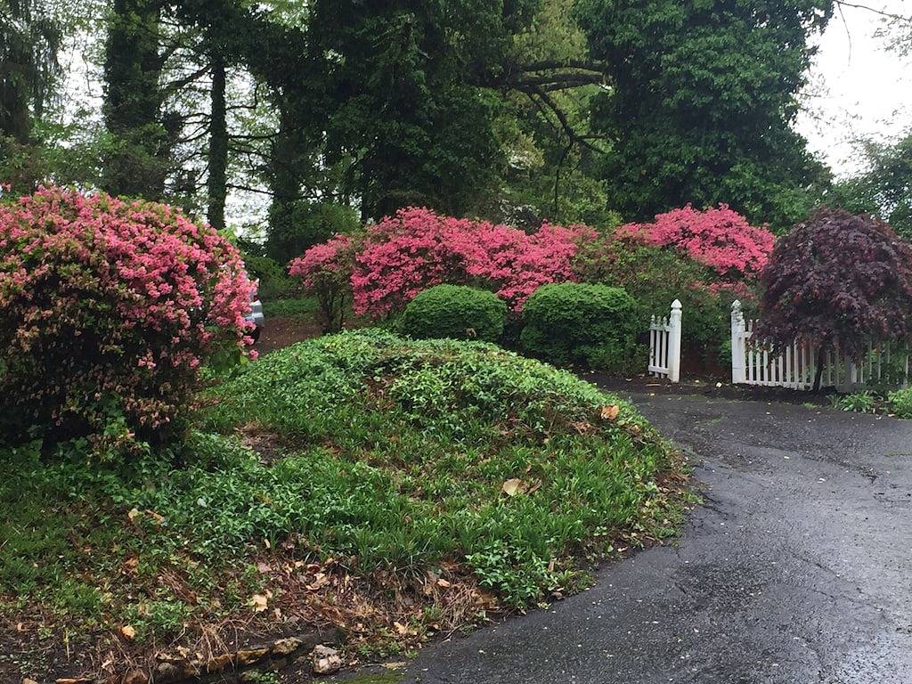 Yadkin Valley hat den gleichen Weinbaustempel wie Napa. Kanus und Kajaks !! in Elkin, Surry County