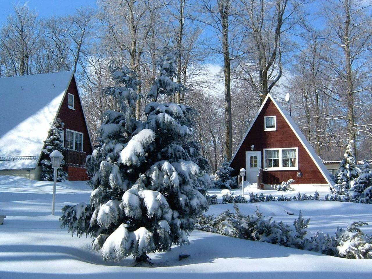 Ferienpark Rosstrappe in Thale, Harzvorland