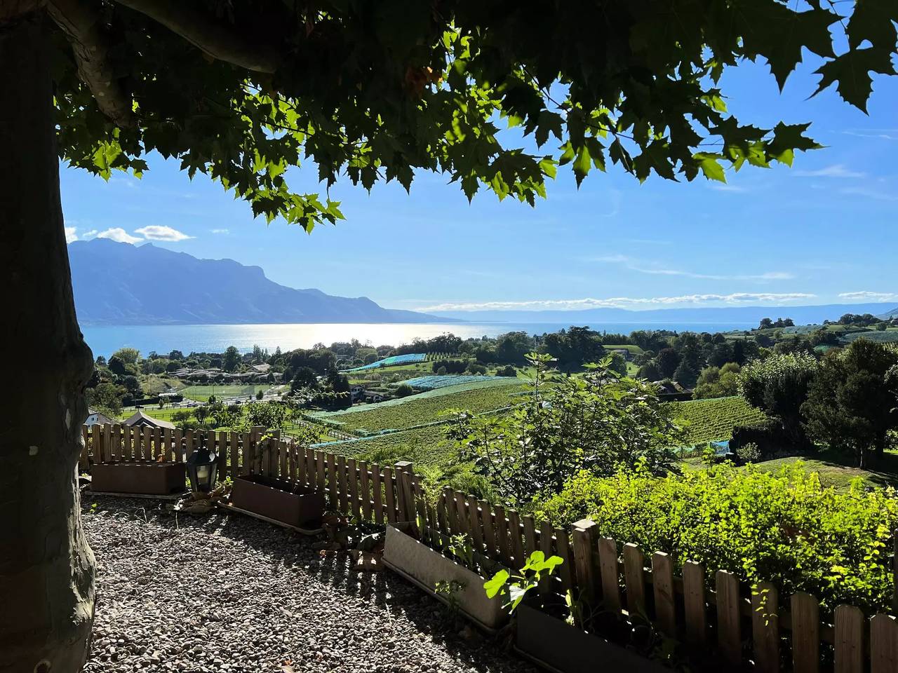 Apartamento entero, 4 estancias 6 personas in Chailly-Montreux, Montreux