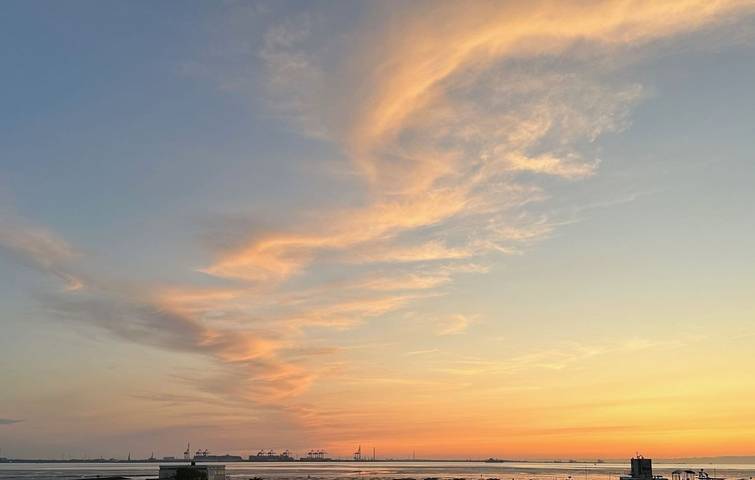 Ferienwohnung für 5 Personen, mit Terrasse und Sauna, mit Haustier am Jadebusen - 4