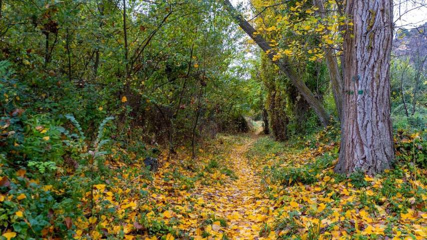 Casa rural para 2 personas, con piscina y vistas además de vistas al lago y jardín en Provincia de Guadalajara - 4