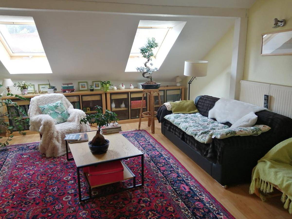 Double Room with Mountain View in Colroy-la-Roche, Bas-Rhin Alsace
