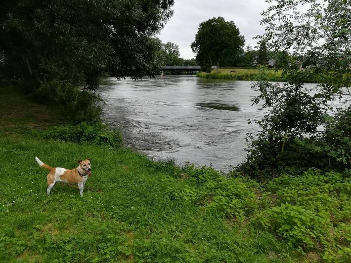 Location de vacances pour 6 personnes, avec terrasse à Journiac - 3