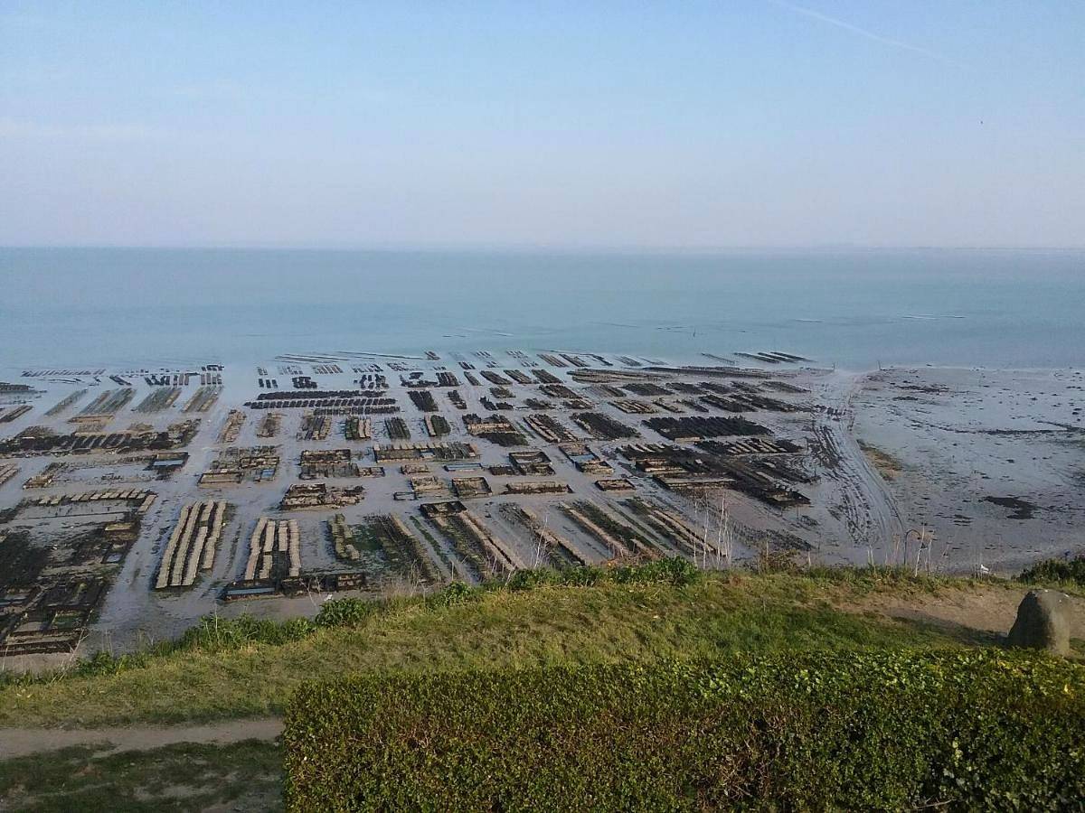 Appartement entier, Studio in Cancale, Baie du Mont-Saint-Michel