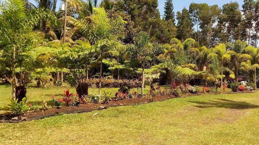 Schönes kleines Ferienhaus auf einem tropischen Obstgarten mit vielen Früchten. in Hawaiian Paradise Park, East Puna