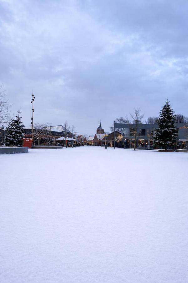 Chambre d’hôte pour 2 personnes, avec jardin à Renesse - 2
