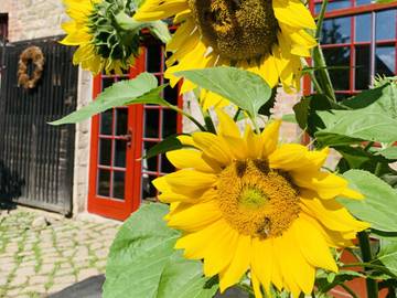 Ferienwohnung für 4 Personen in Ilmtal-Weinstraße, Thüringer Kernland, Bild 4