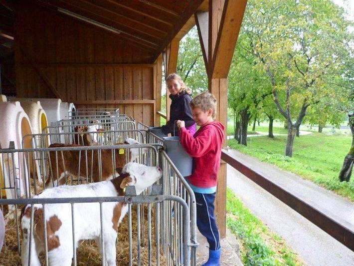 Bauernhaus für 4 Personen, mit Garten, kinderfreundlich in den Bayerische Alpen - 3