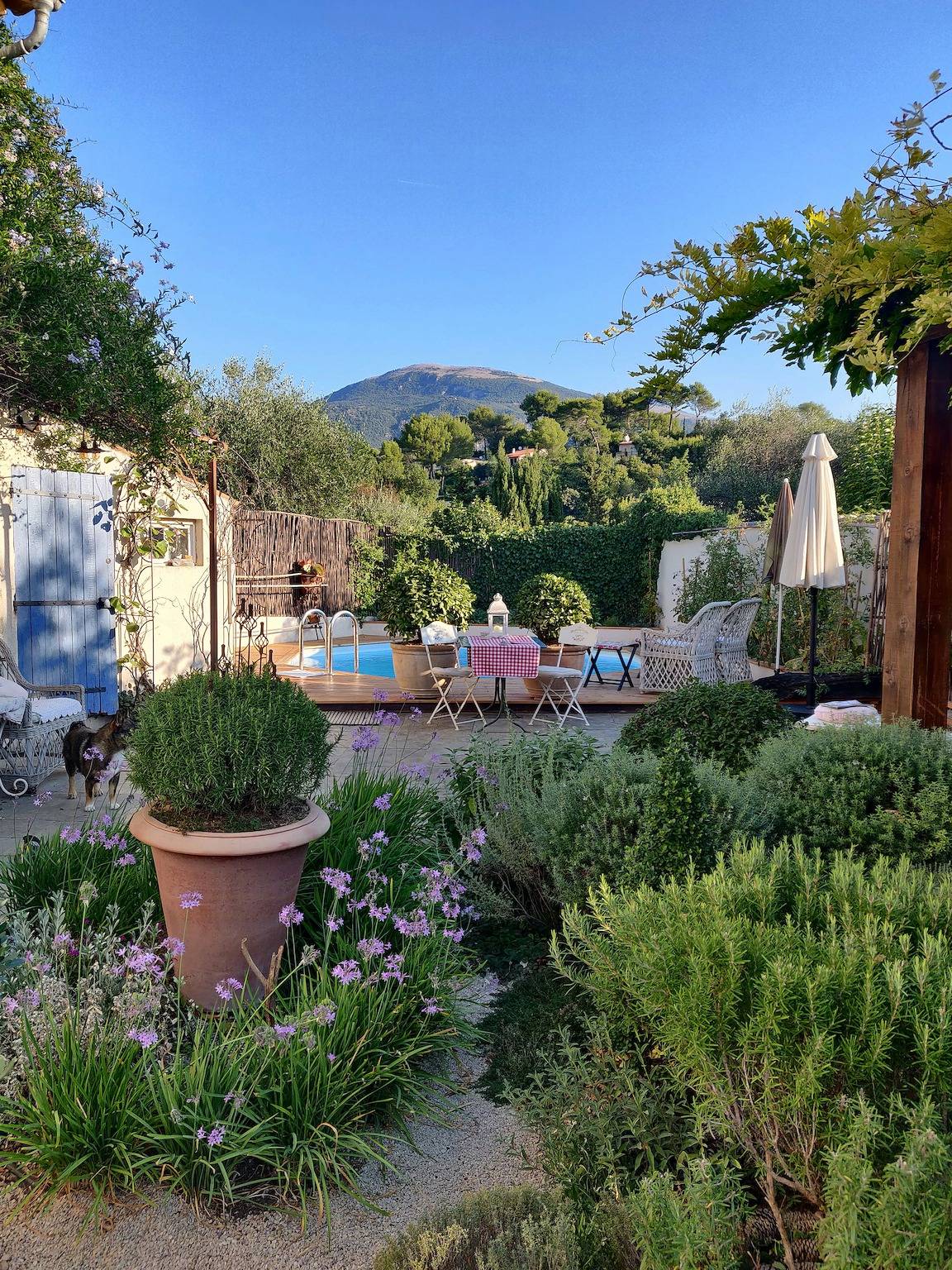 Romantisch appartement in historisch huis in de Provence in Roquefort-les-Pins, Cannes regio