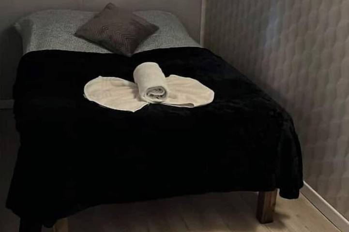 Gîte pour 11 personnes, avec terrasse et jardin, animaux acceptés à Condé-Sainte-Libiaire - 4