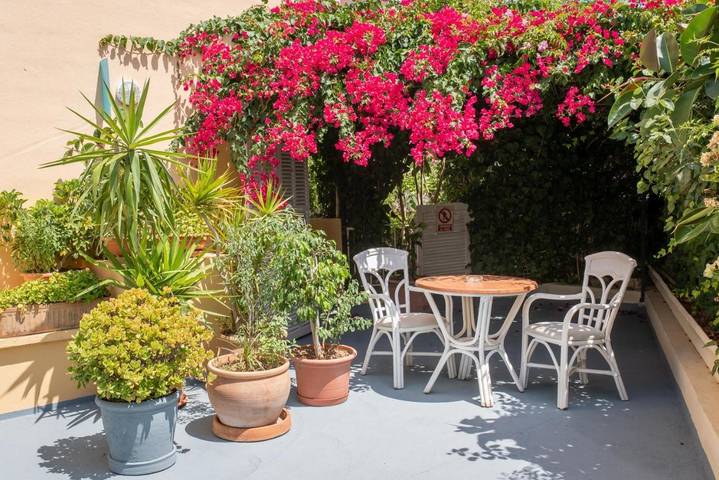 Gîte pour 3 personnes, avec piscine ainsi que jardin et vue à Palmanova (Espagne) - 2