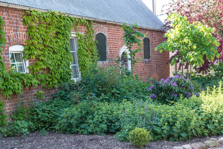 Bauernhof für 4 Personen, mit Terrasse und Pool sowie Garten in Grömitz