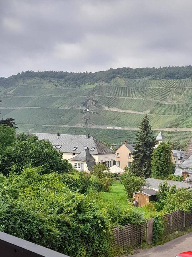 BnB für 2 Personen, mit Ausblick und Terrasse sowie Garten in Bernkastel-Kues - 4