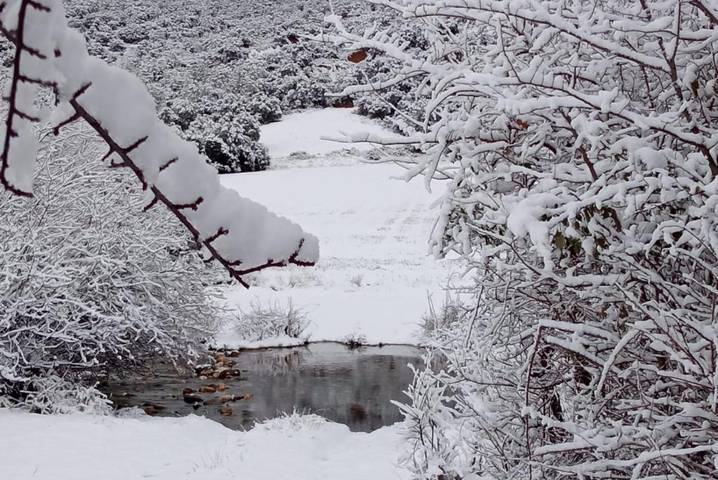 Casa rural para 10 personas, con vistas y terraza en Comarca de Sepúlveda - 4