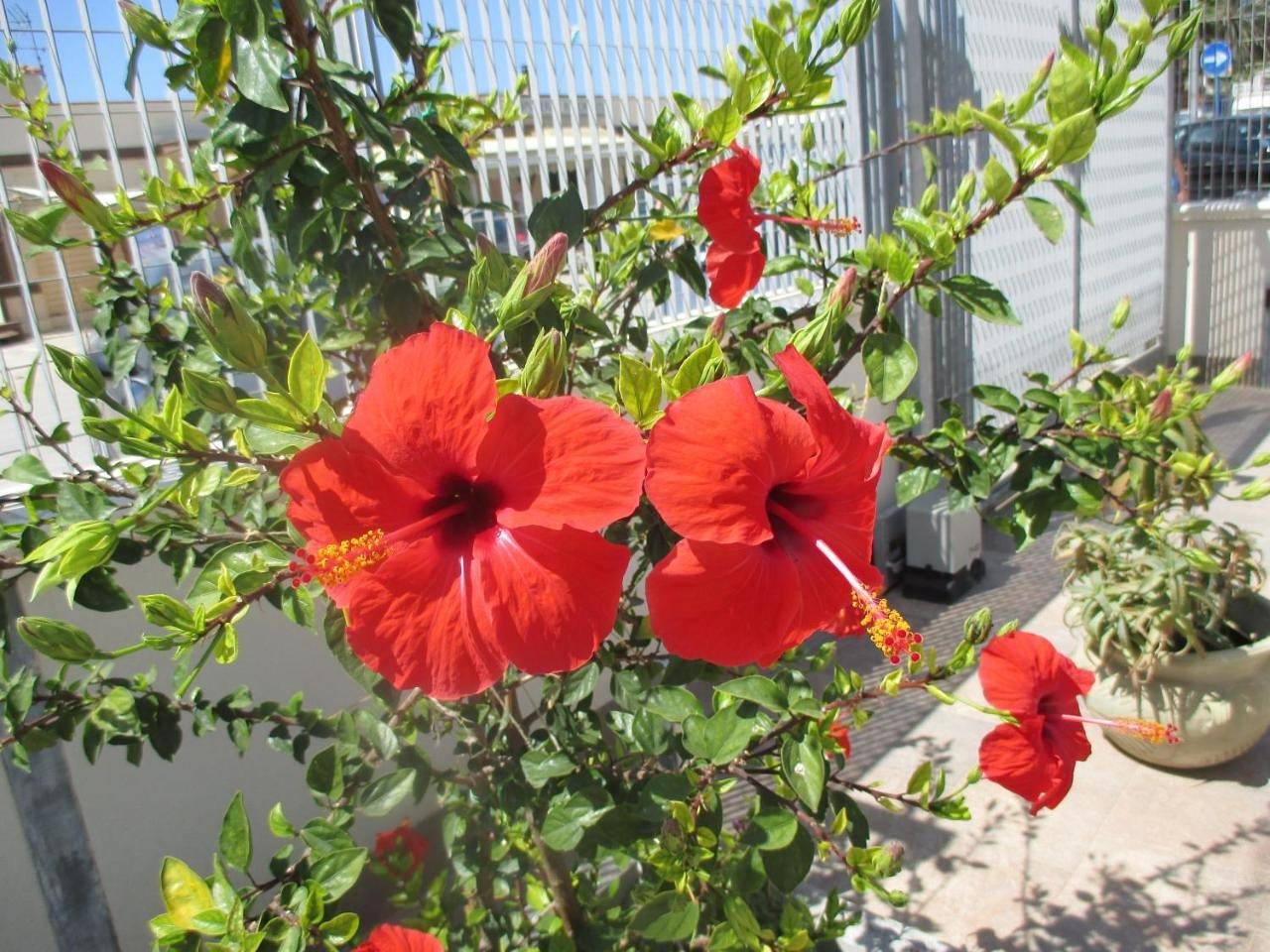 Appartement entier, Apartment with Terrace in Spiaggia di Marinella, Porto Empedocle